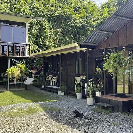 Casa Morpho Uvita Guesthouse Bagian luar foto