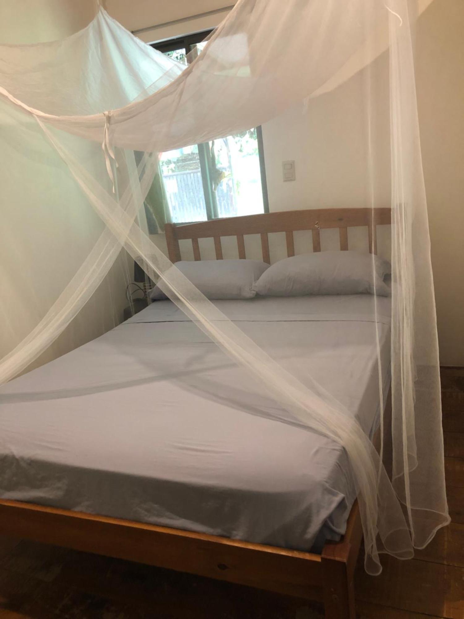 Casa Morpho Uvita Guesthouse Bagian luar foto