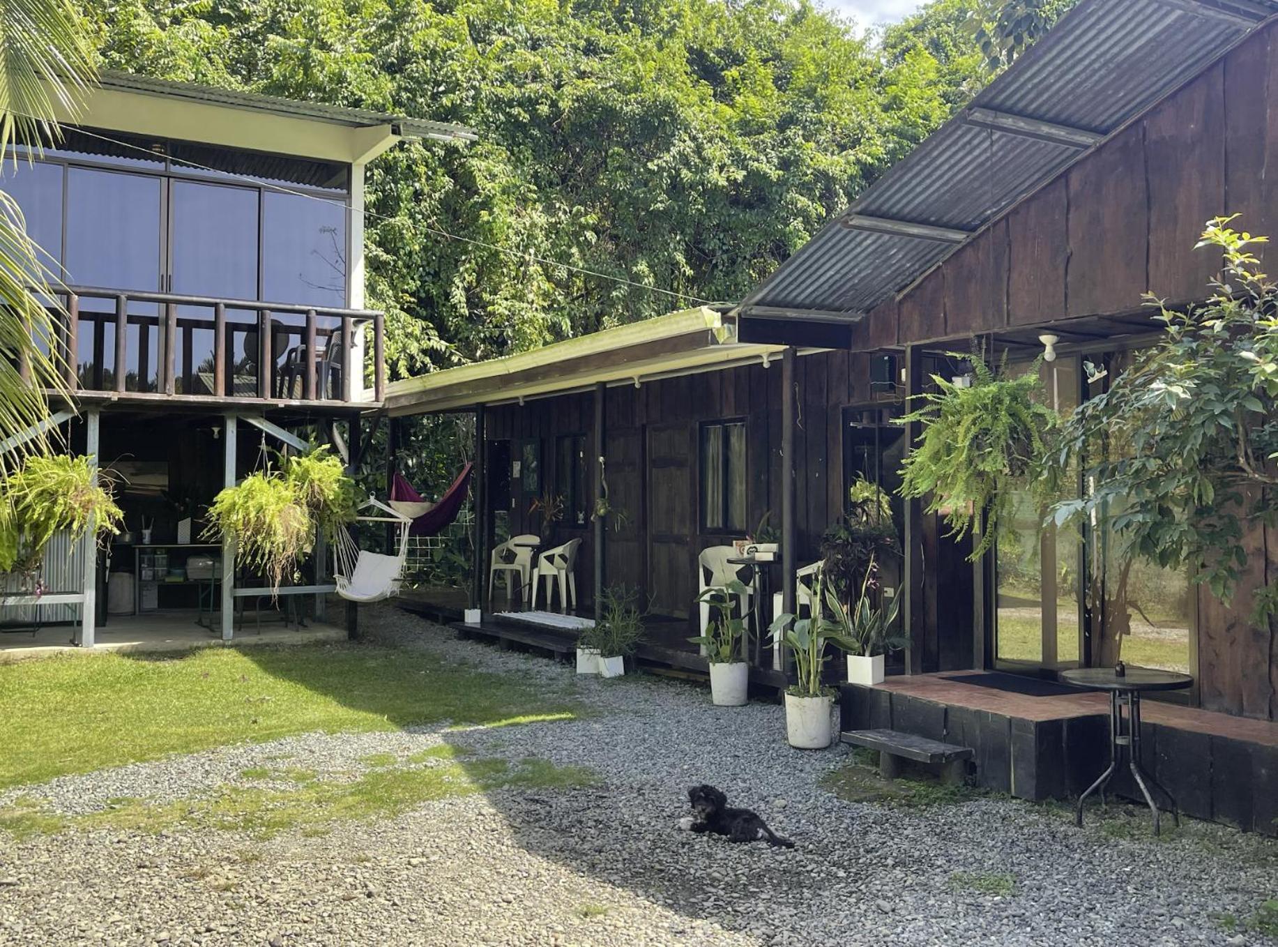 Casa Morpho Uvita Guesthouse Bagian luar foto
